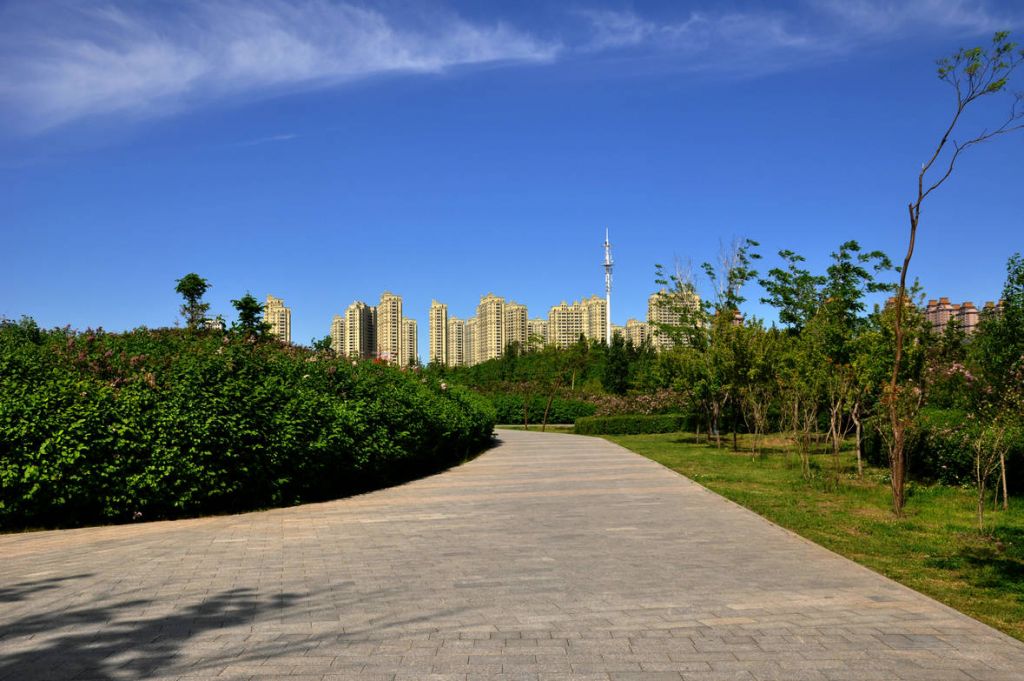 DSC_0041.JPG