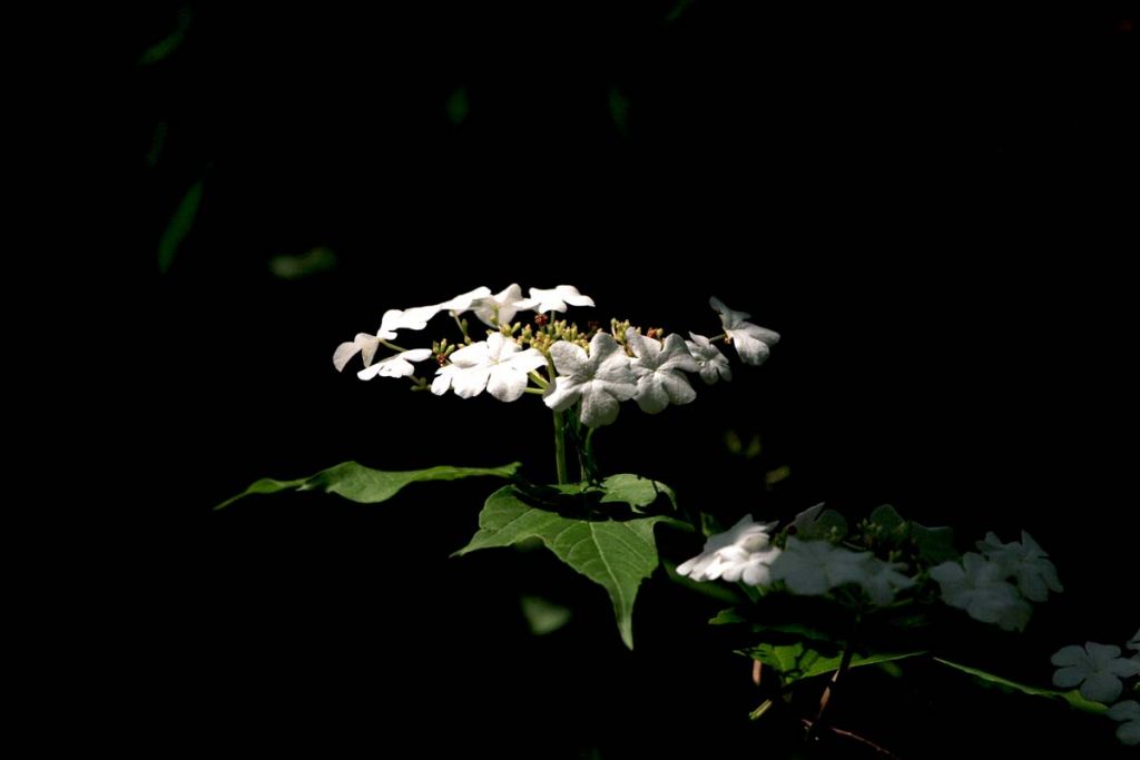 DPP_0092.jpg