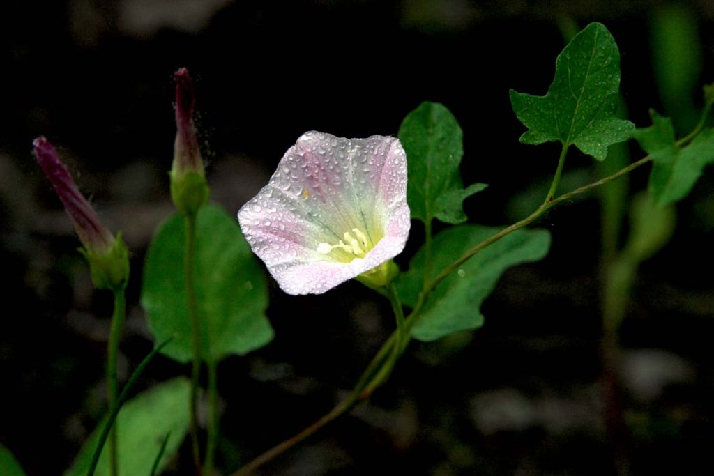 DPP_0113.jpg
