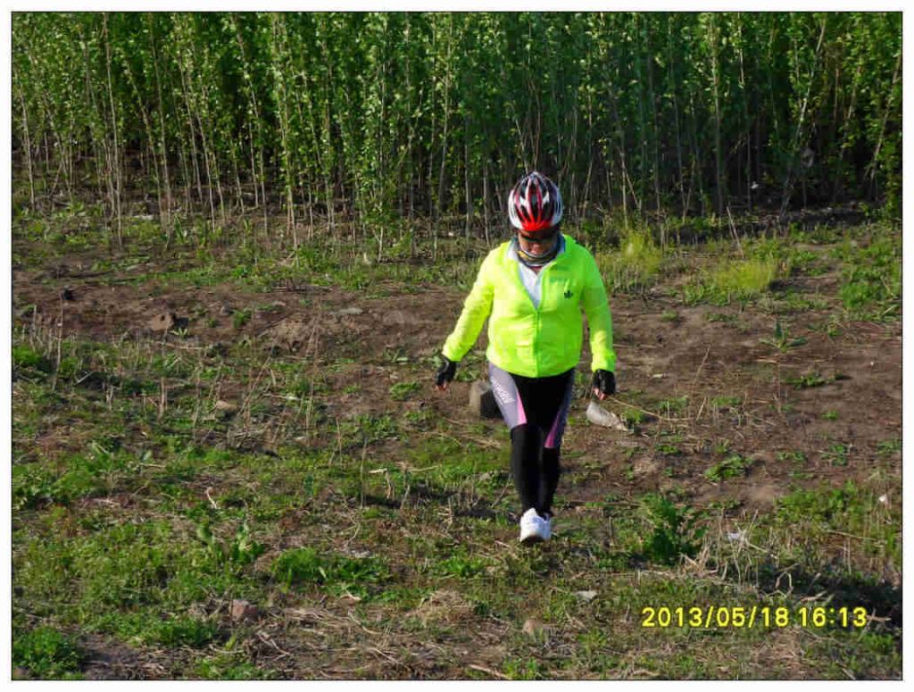 SDC10206.jpg