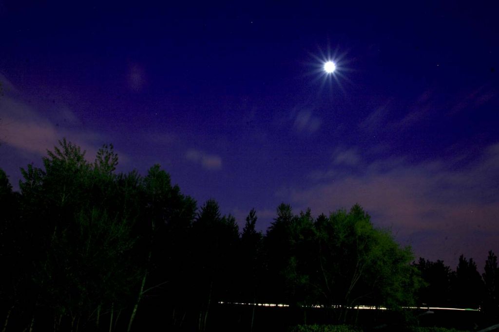 DPP_0137.jpg