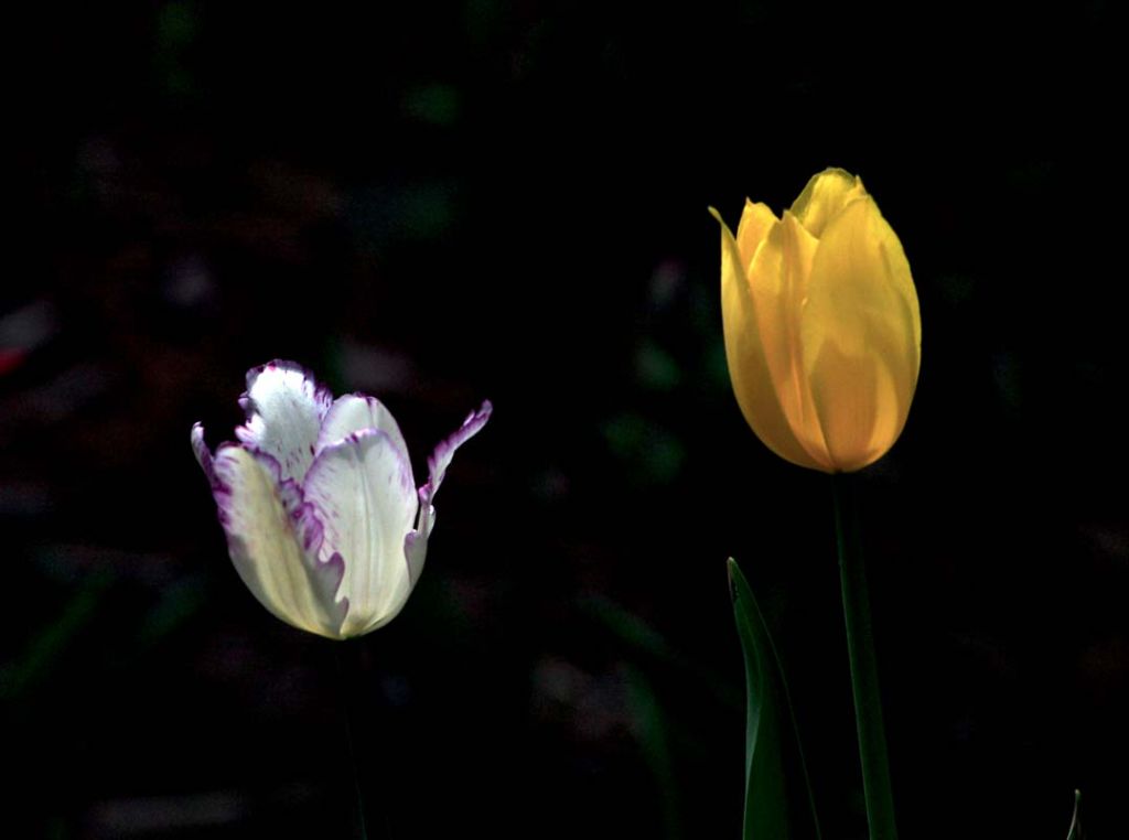 DPP_0058.jpg