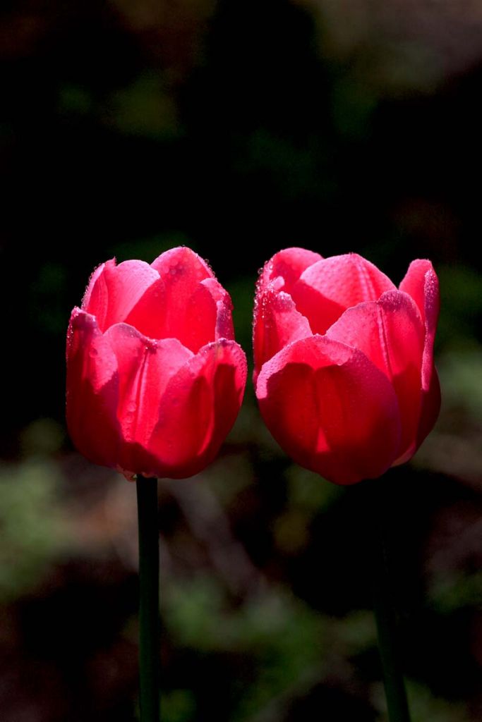 DPP_0179.jpg