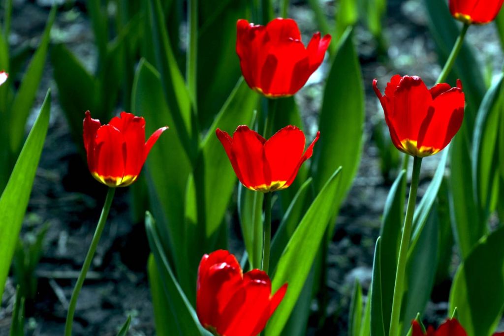 DPP_0236.jpg