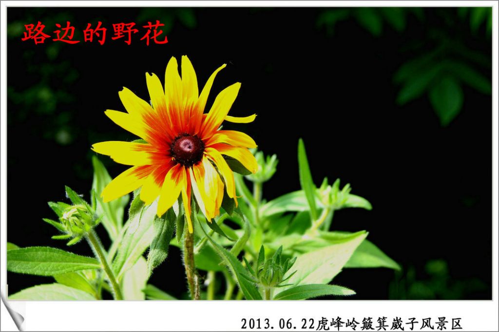 DSC04733_meitu_38.jpg