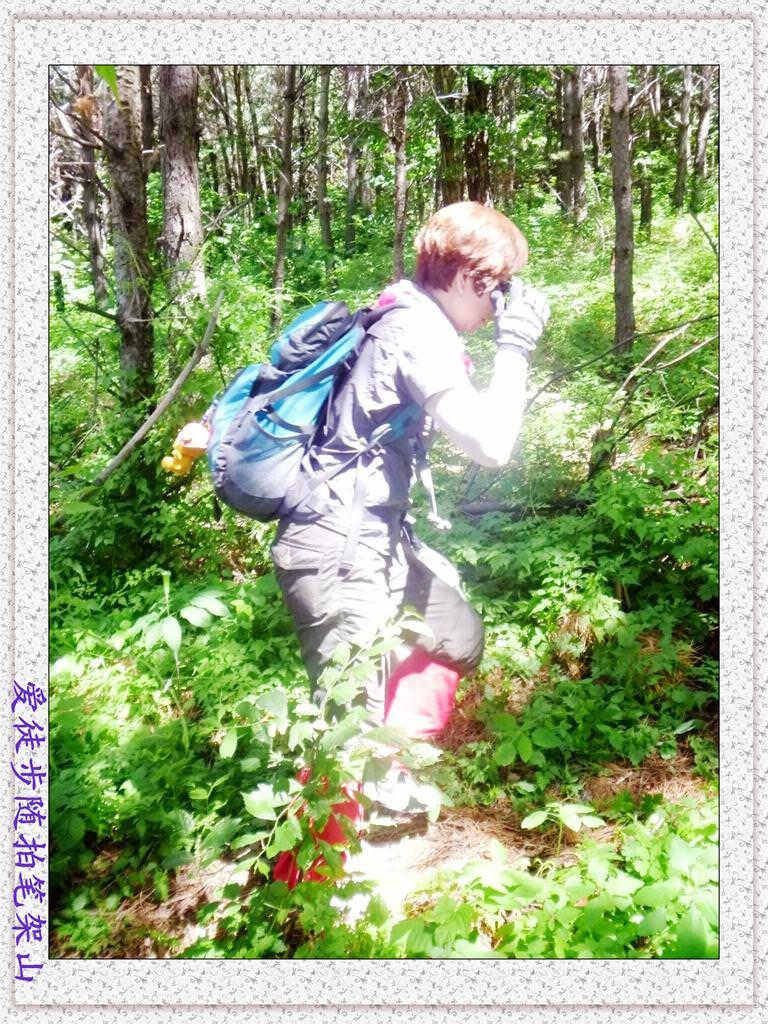 030.jpg