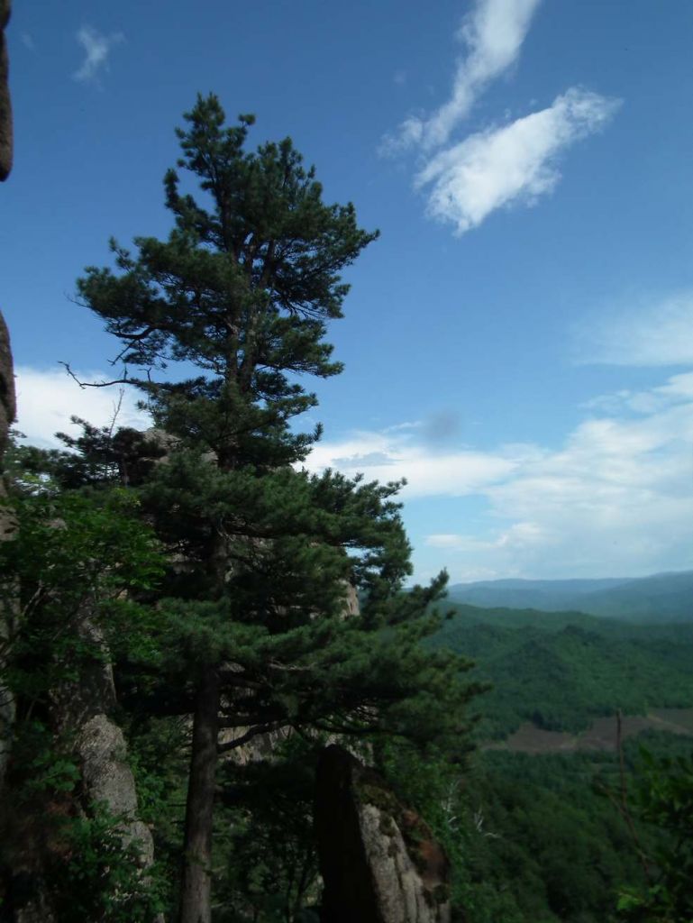 DSCF0302.JPG