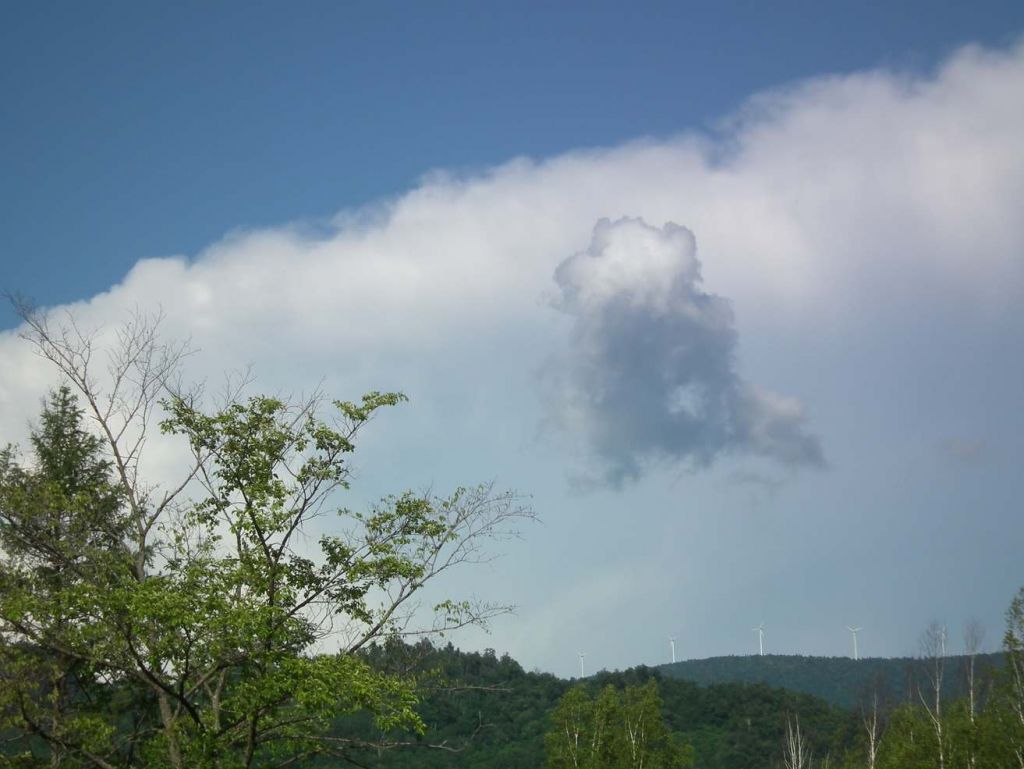 DSCF0394.JPG