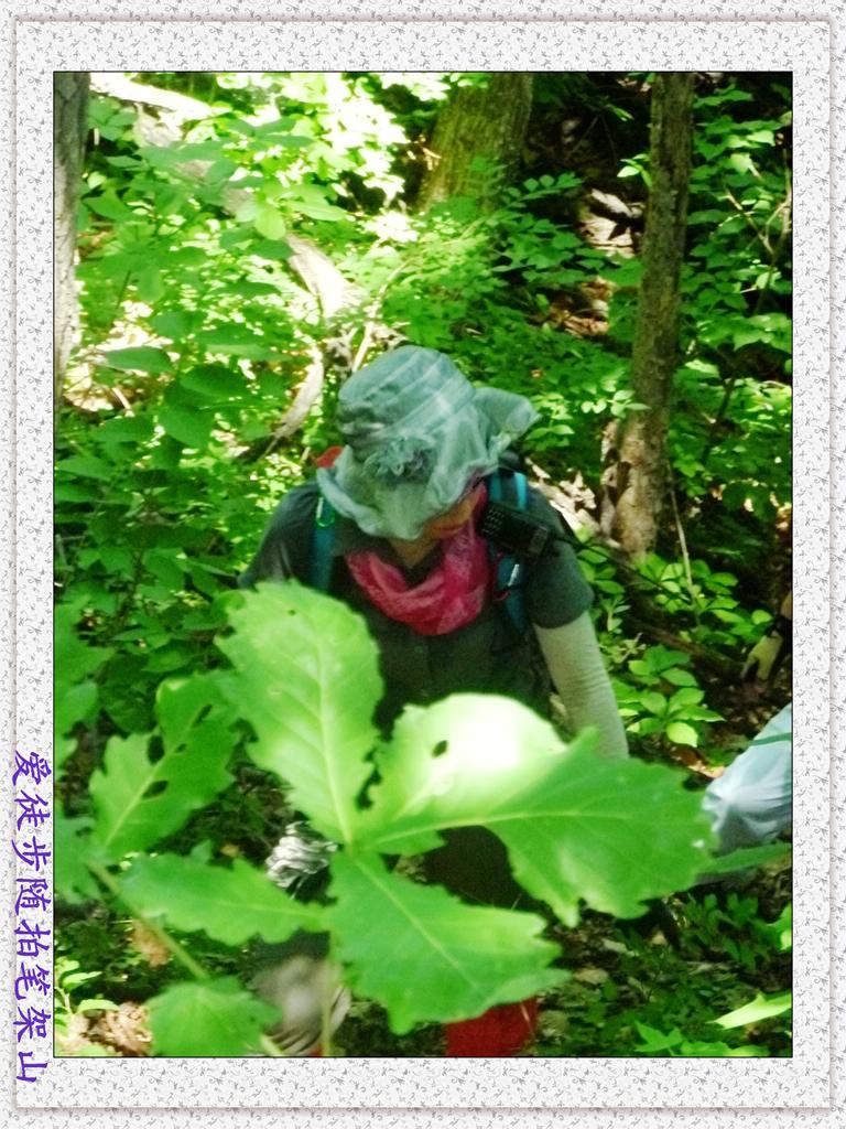 052.jpg