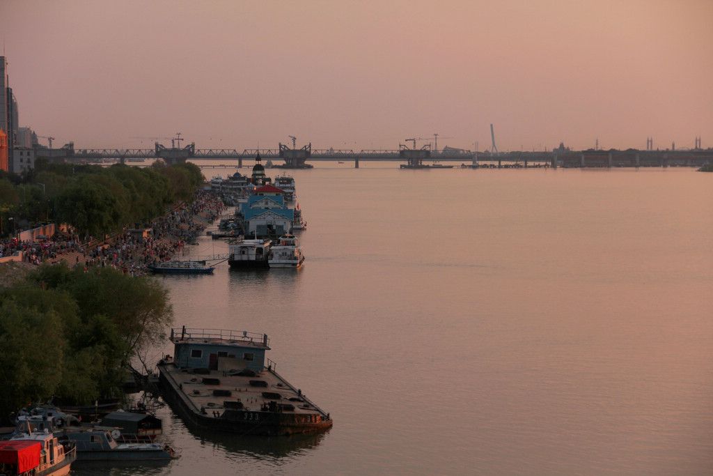 IMG_8890.jpg