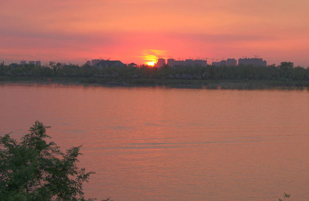 IMG_8958.jpg