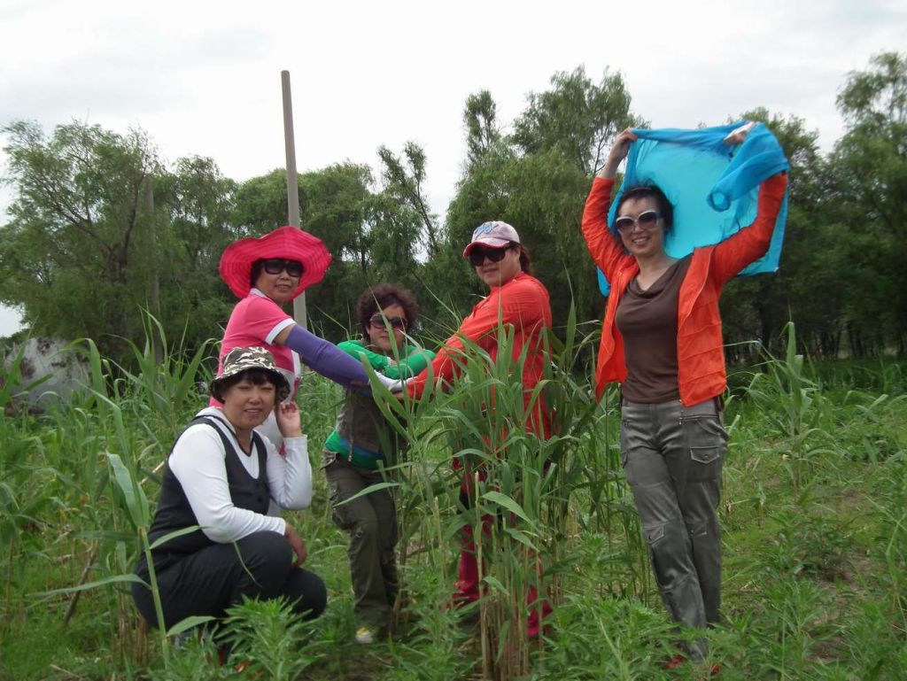 DSCF8826.JPG