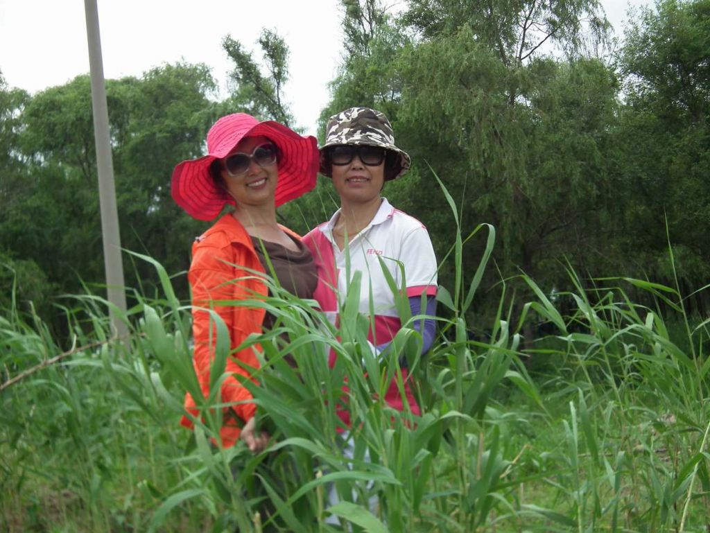 DSCF8829.JPG