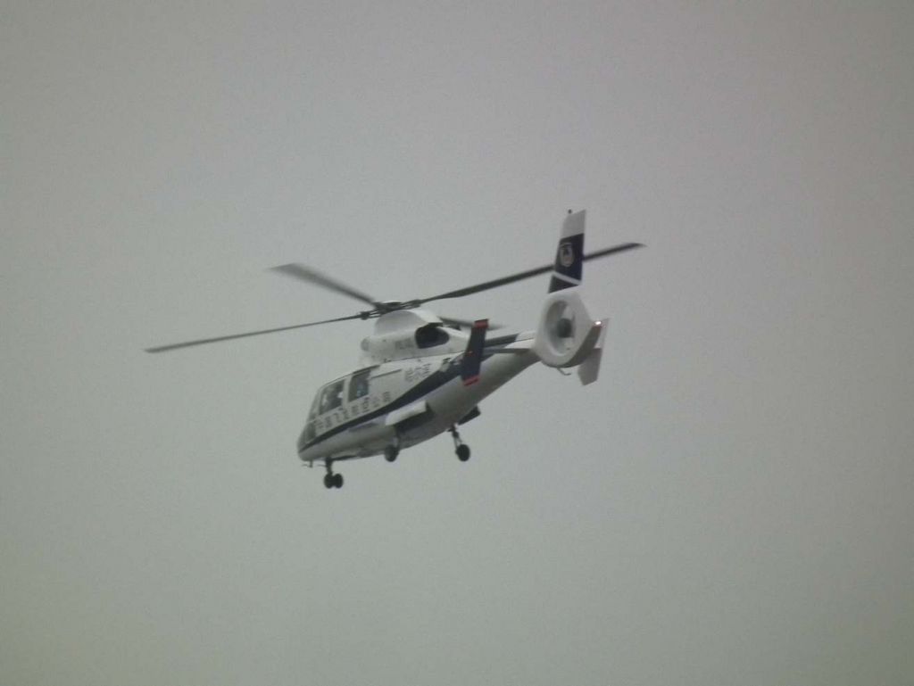 DSCF8980.JPG
