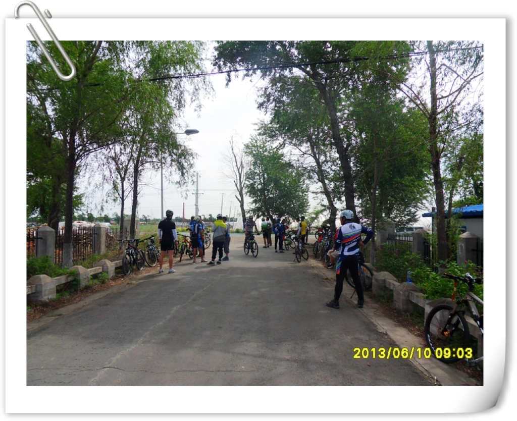 SDC10084.jpg
