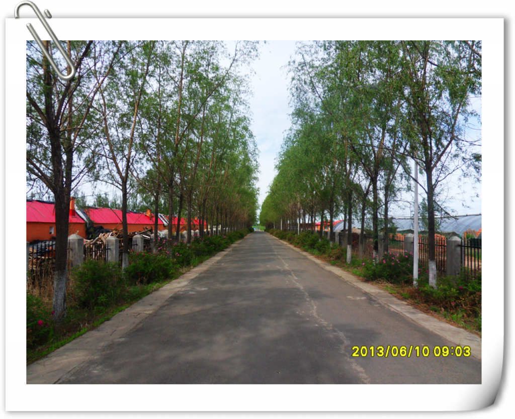 SDC10086.jpg