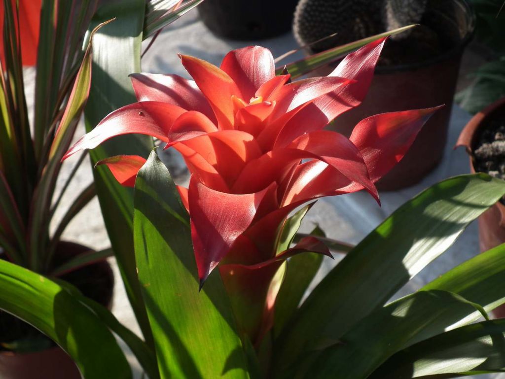 DSCF9563.JPG
