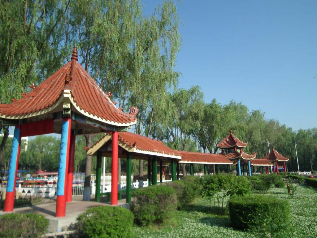 DSCF9638.JPG