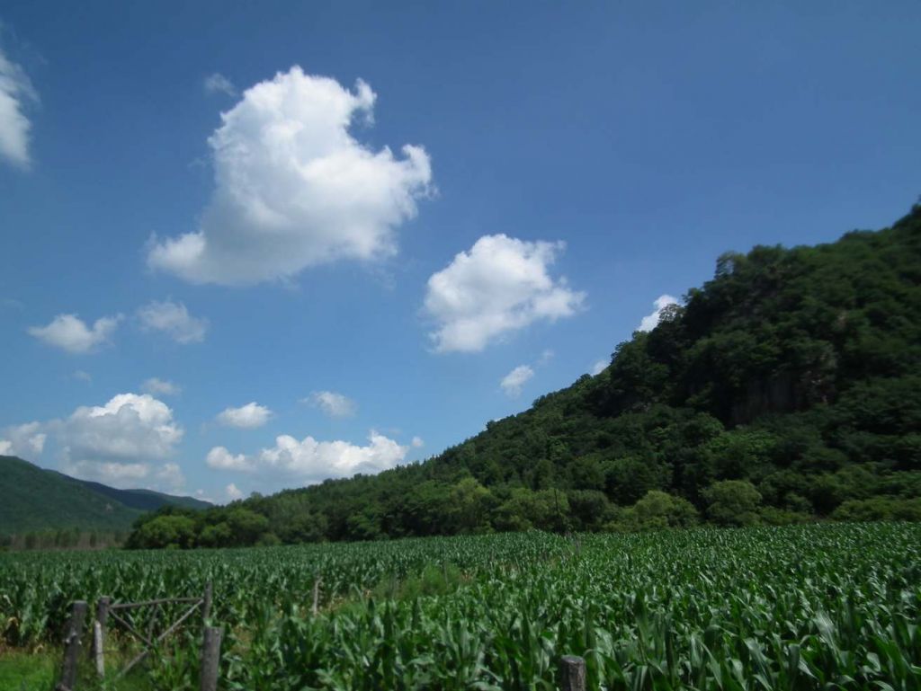 DSCF4239.JPG