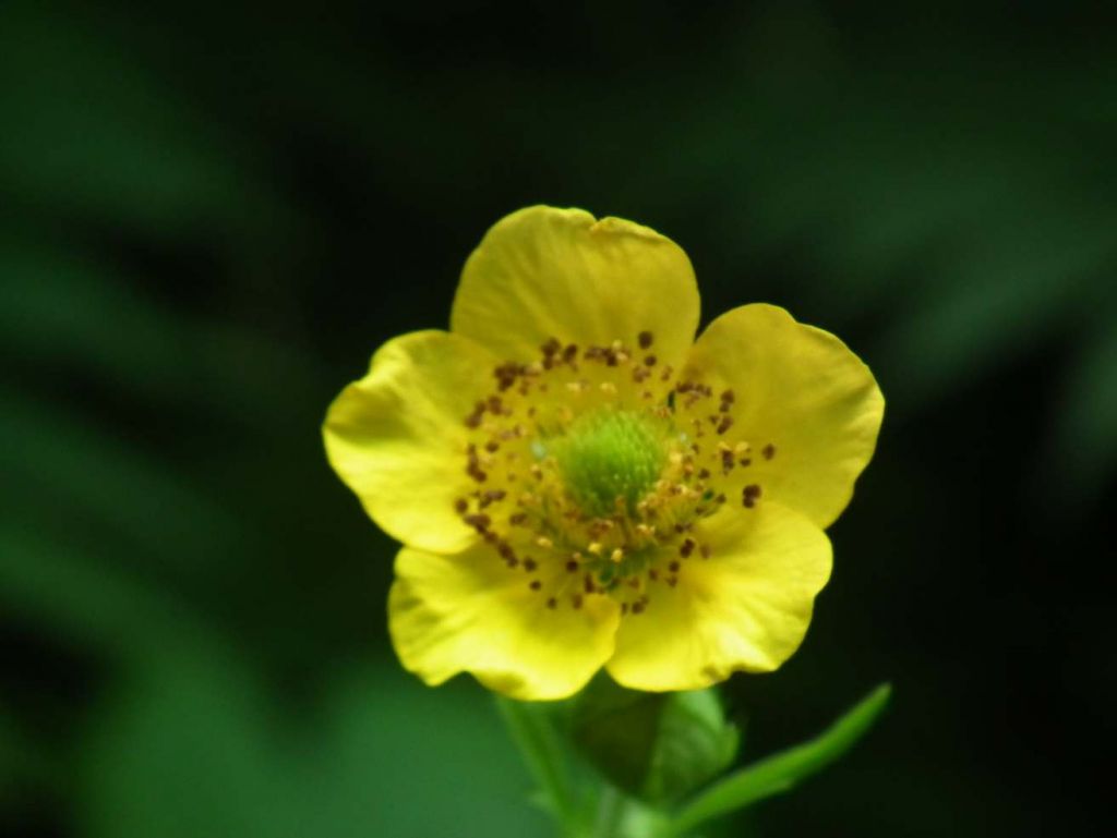 DSCF4310.JPG