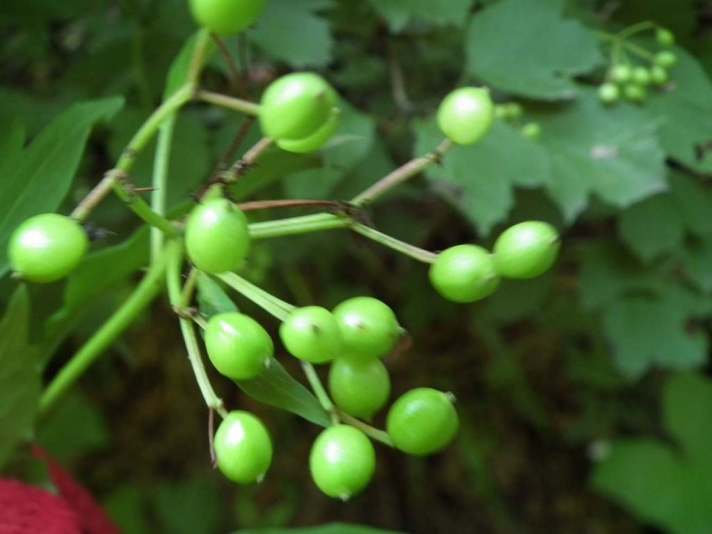 DSCF4318.JPG