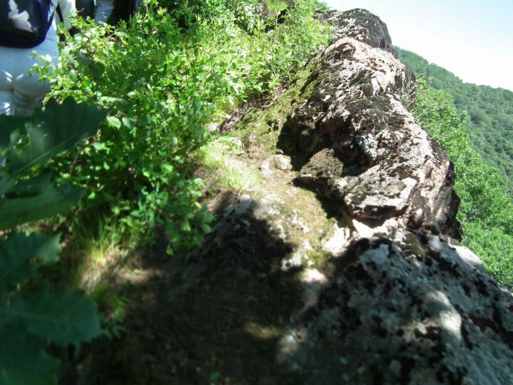 DSCF4462.JPG