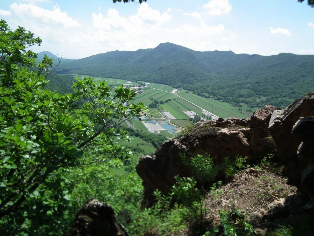 DSCF4440.JPG