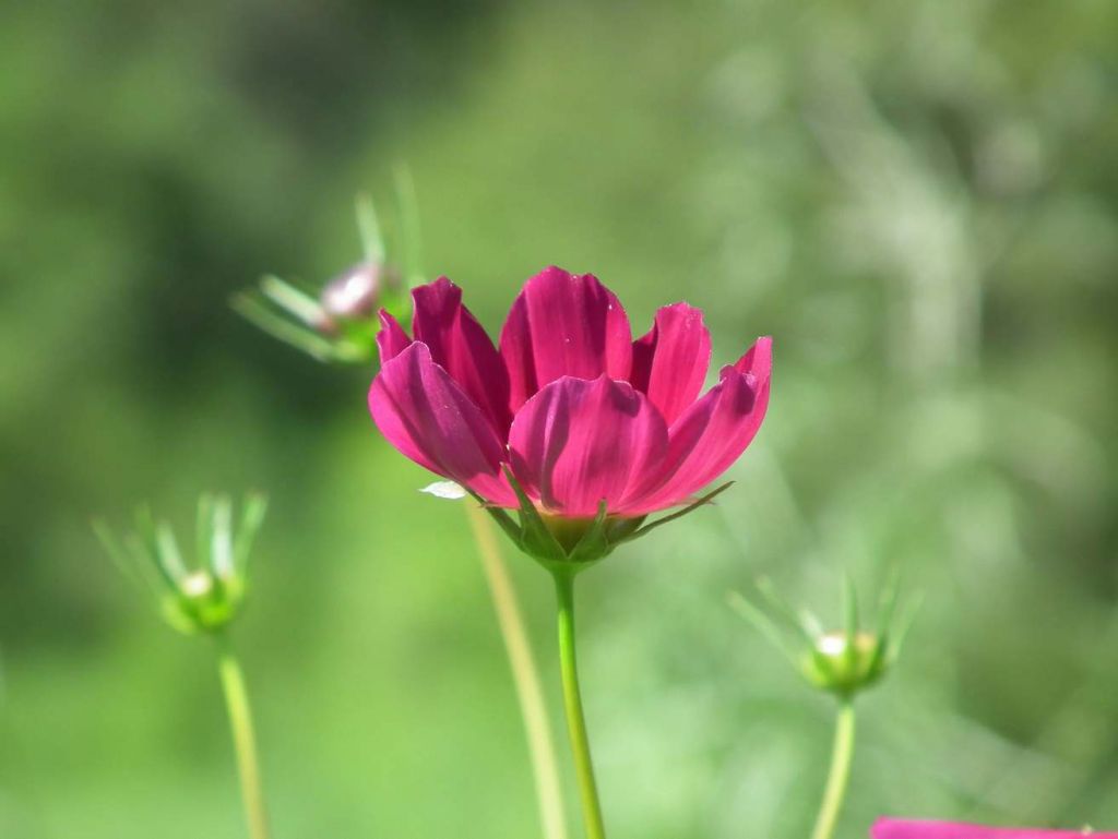 DSCF6088.JPG