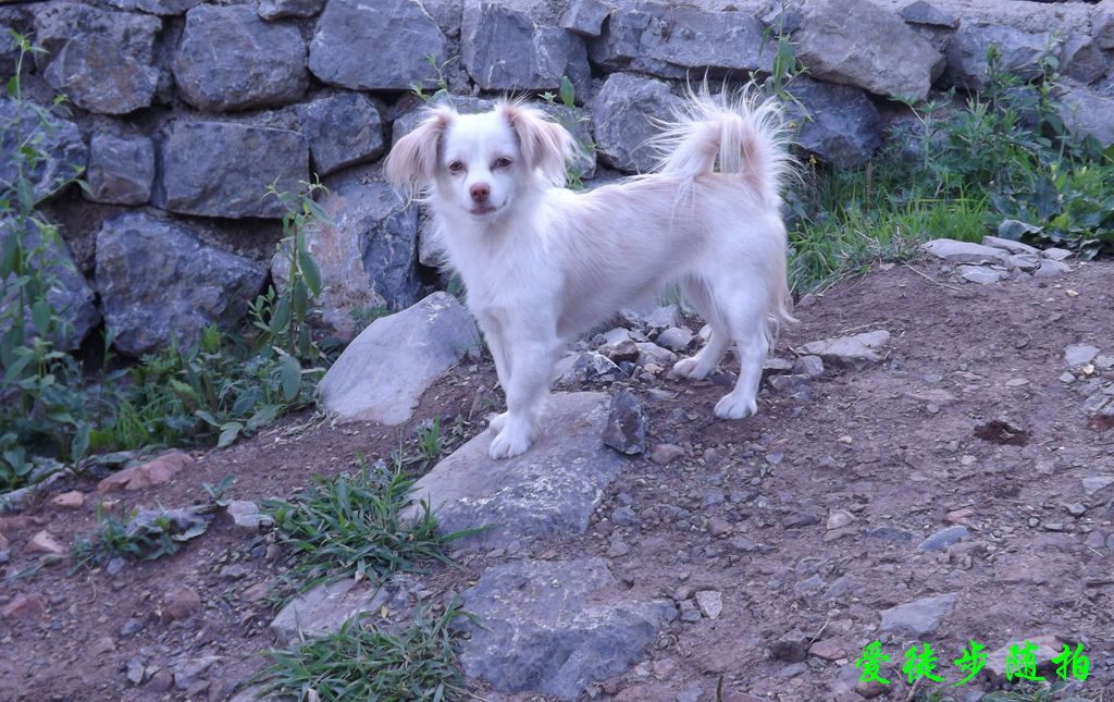 DSCF1149.jpg