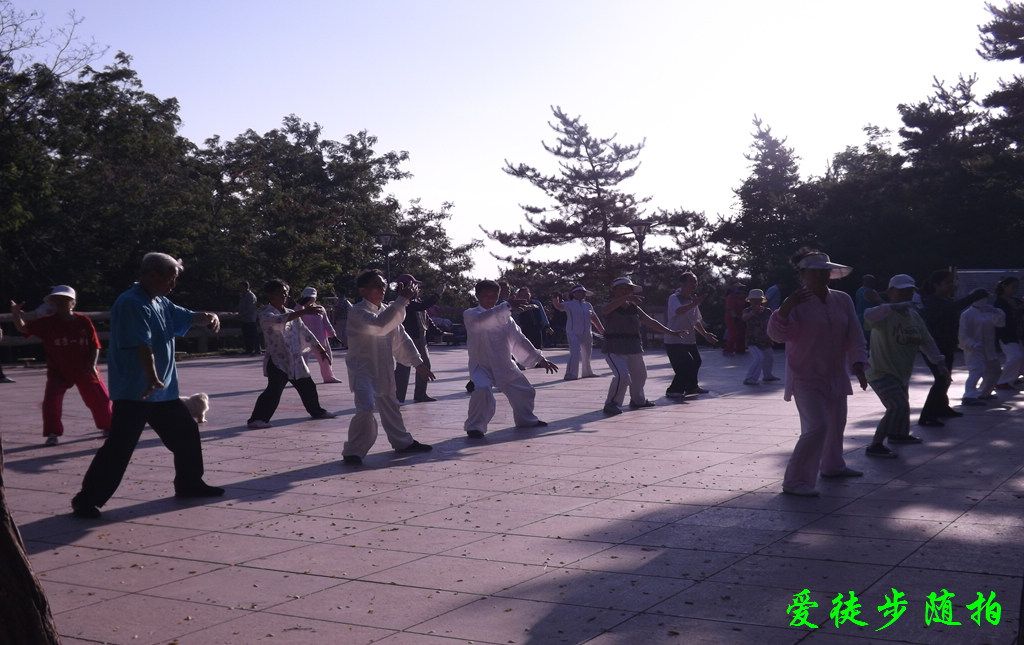 DSCF1155.jpg