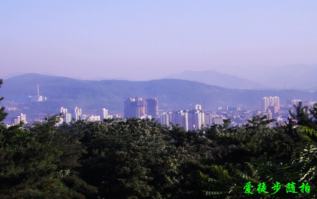 DSCF1158.jpg