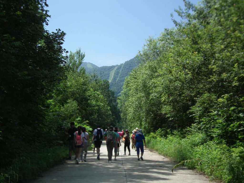 DSCF3534.JPG