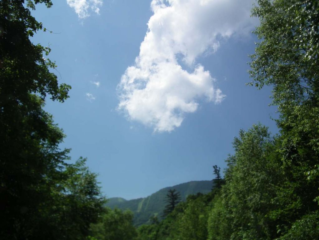 DSCF3538.JPG