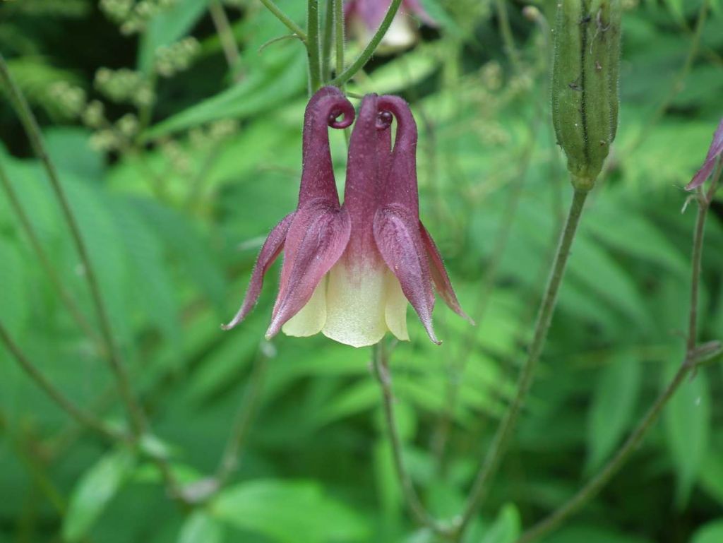 DSCF3546.JPG