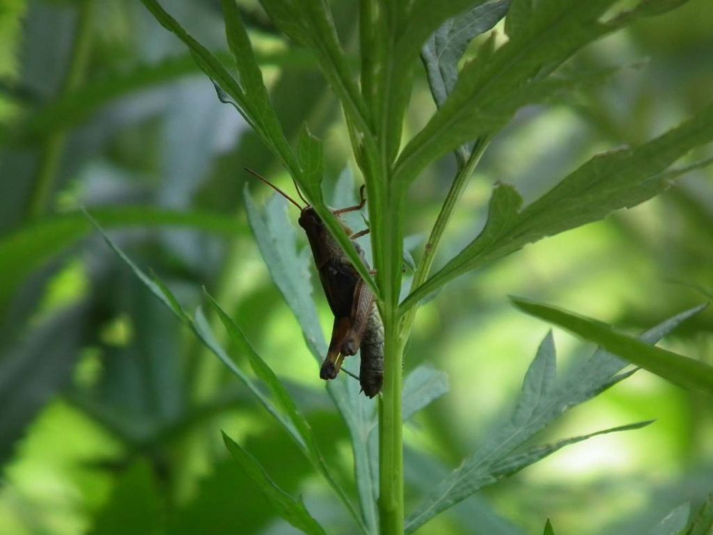 DSCF3580.JPG