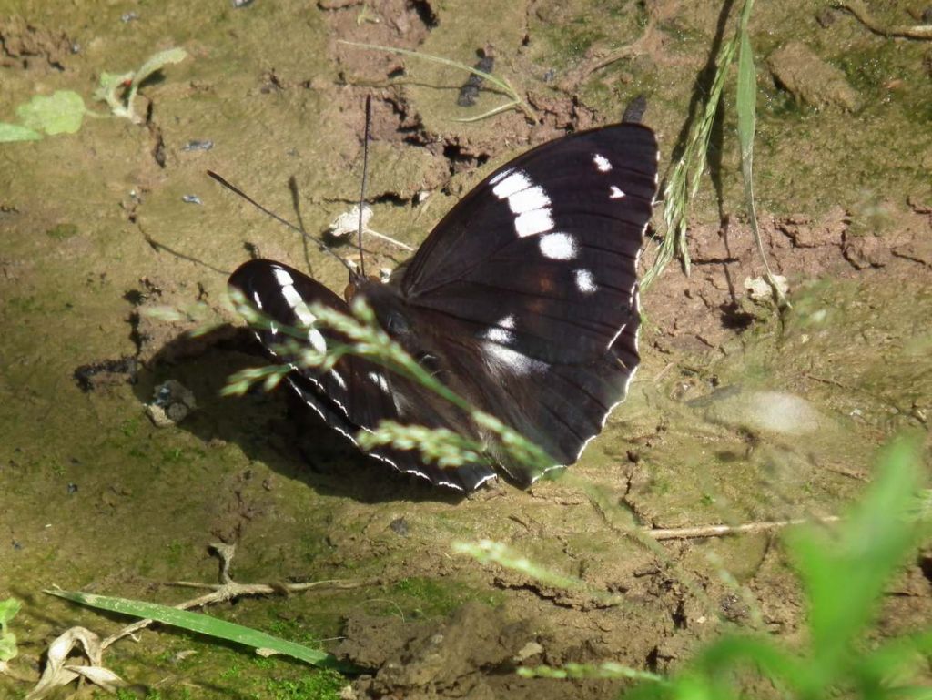 DSCF3648.JPG