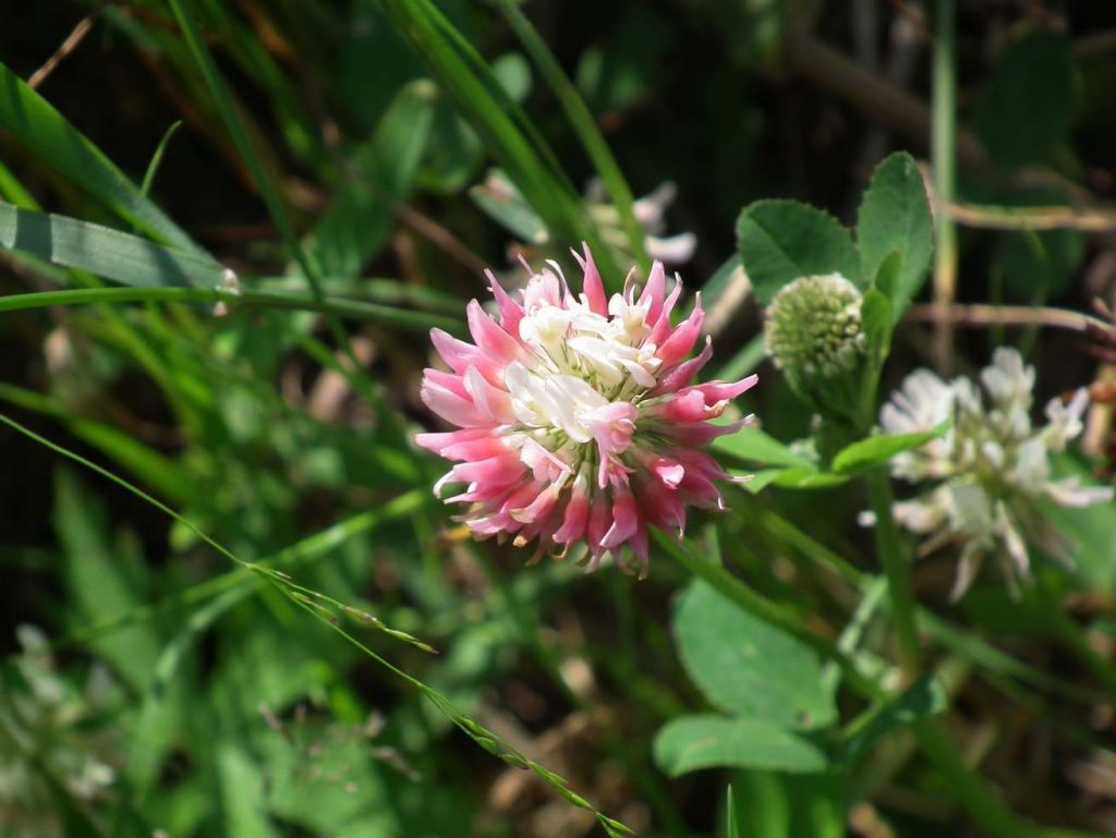 DSCF3634.JPG