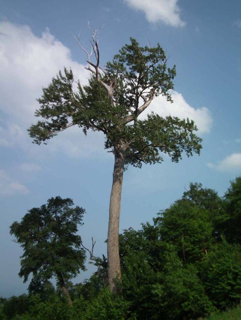 DSCF3706.JPG