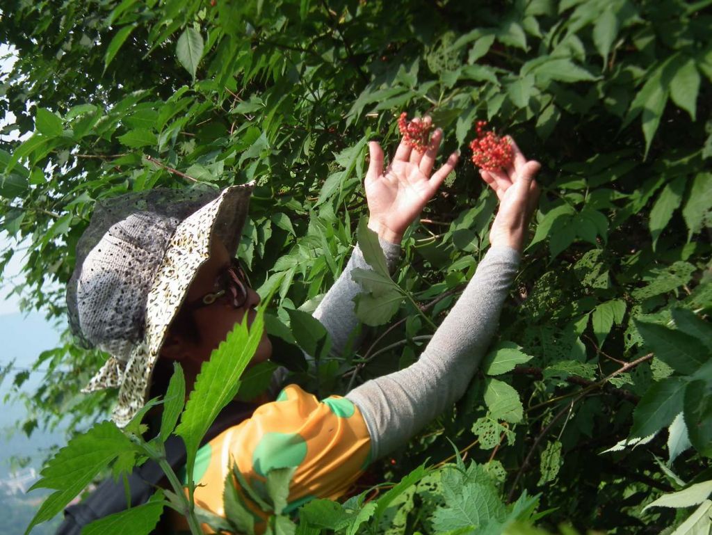 DSCF3740.JPG