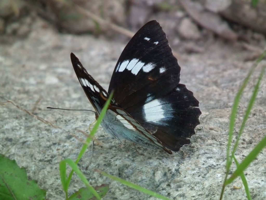 DSCF3762.JPG