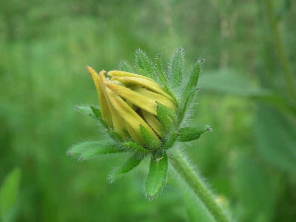 DSCF3822.JPG