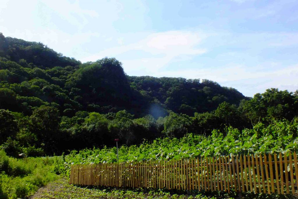 ��Ƭ 074.jpg
