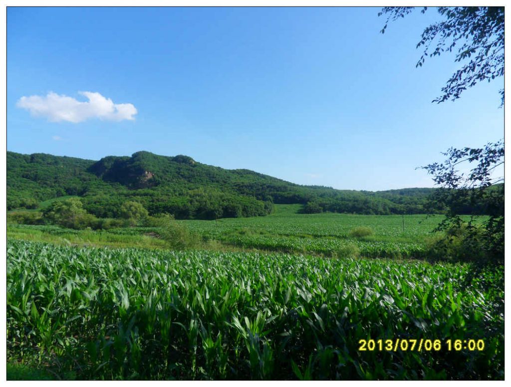SDC10688.jpg