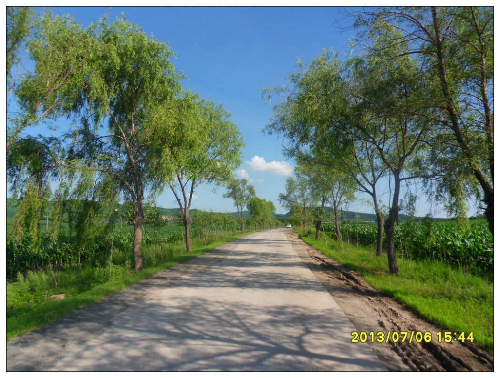 SDC10682.jpg