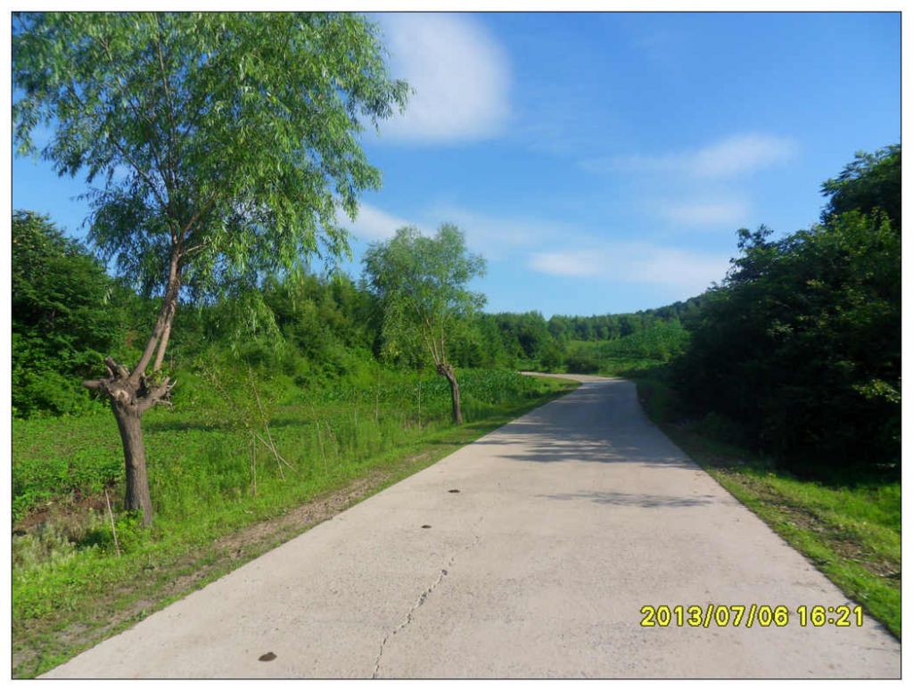 SDC10709.jpg