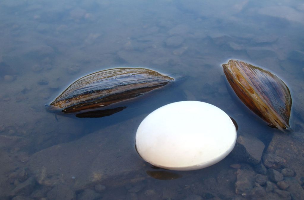 2013-07-06-07��ˮ��-��¯ɽ-ͭ��-��ͷɽ 077.jpg