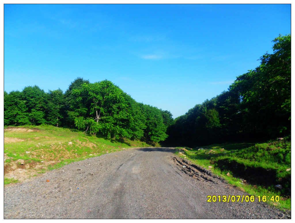 SDC10740.jpg