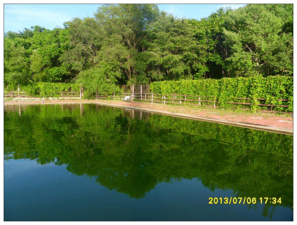 SDC10763.jpg