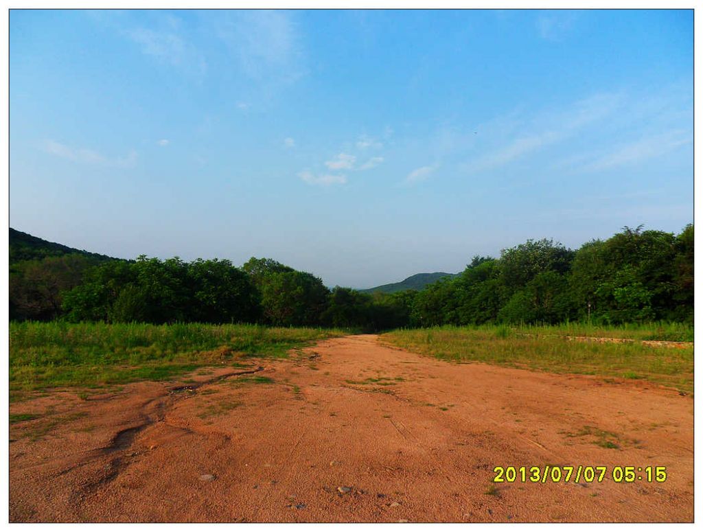 SDC10812.jpg