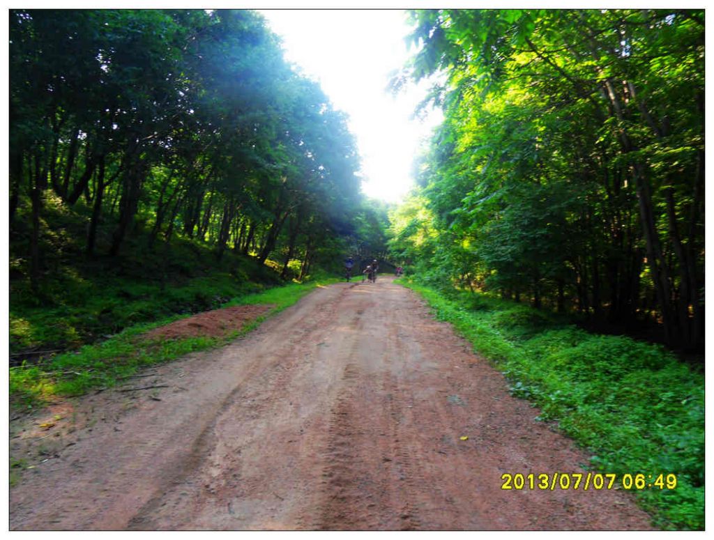 SDC10876.jpg
